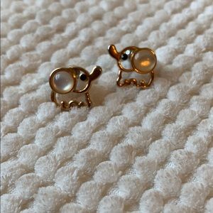 🐘Elephant Earrings🐘